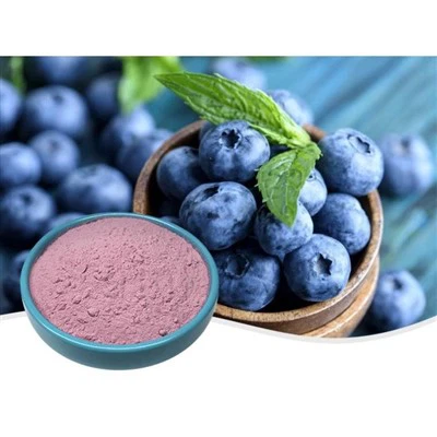 Bio-gefriergetrocknetes-Blaubeerpulver